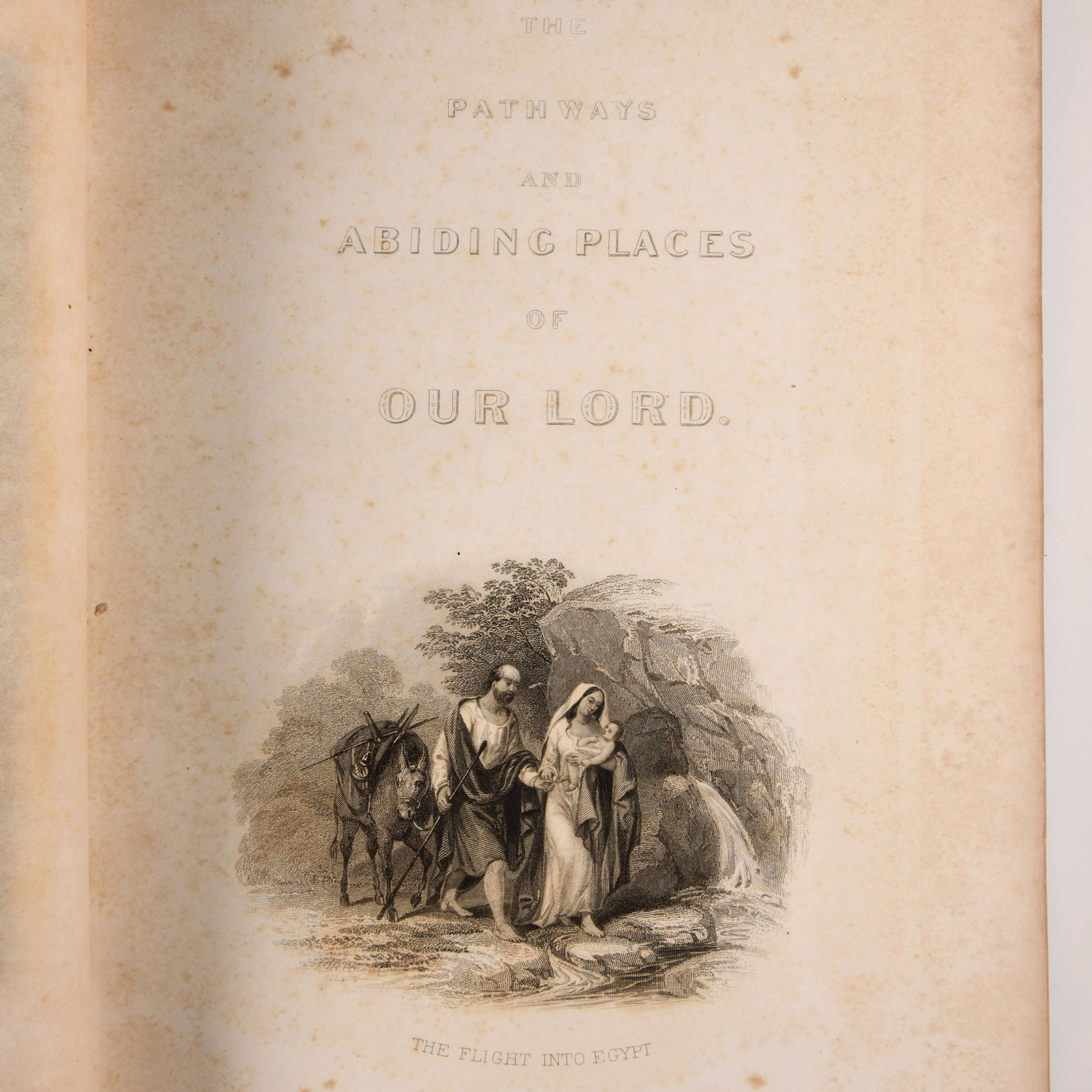 Archaeological Books - Wainwright, J.M. - The Pathways and Abiding Places of Our Lord
